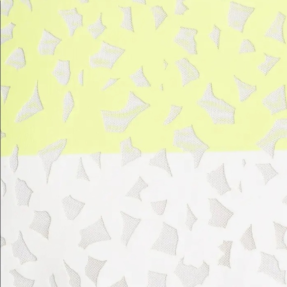 New! ELIZABETH & JAMES Chelle Flocked Shift Dress - Picture 11 of 12